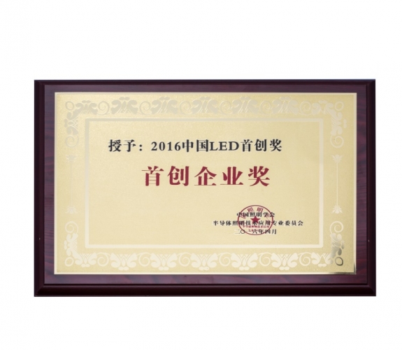 2016中国LED首创企业奖
