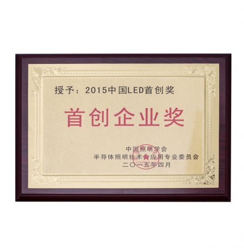 2015中国LED首创企业奖
