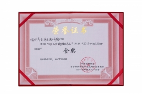 “2015中国LED首创奖”金奖荣誉证书