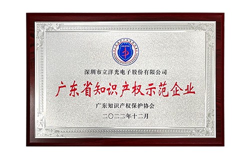 广东省知识产权示范企业